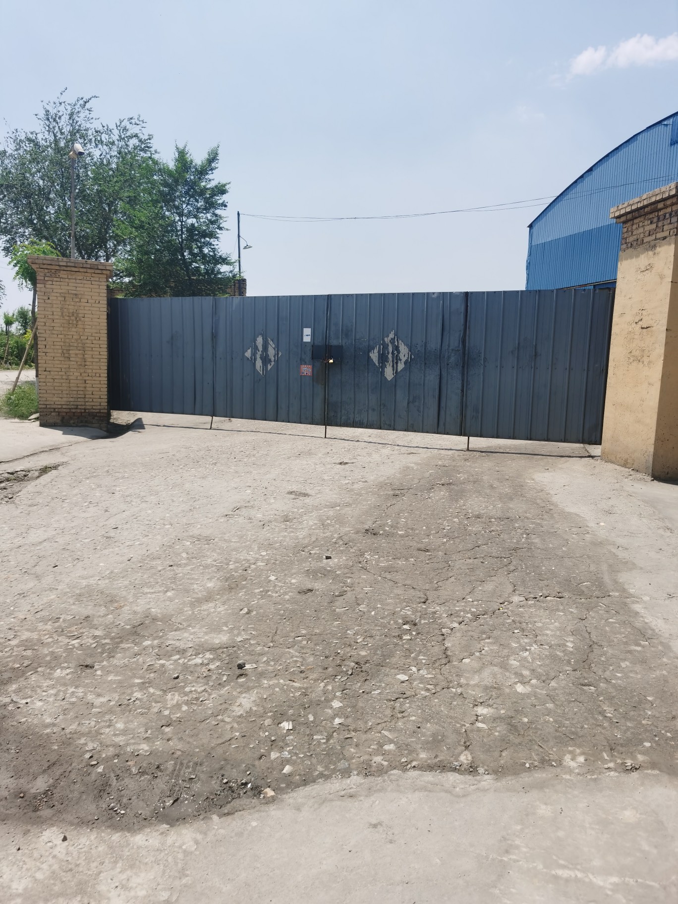 ѡ������