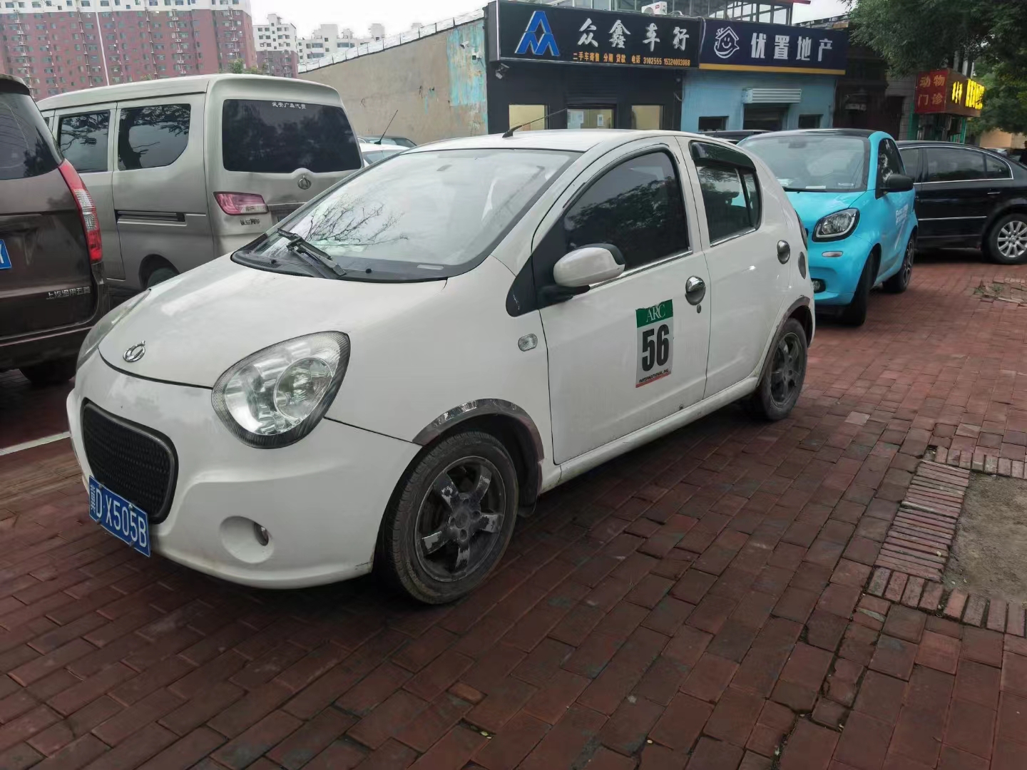 12�꼪��С��è��������Ʒ���ۼ۲��ߣ�ȫ��ֻ�輸ǧ�Ϳɴ��ؼң�