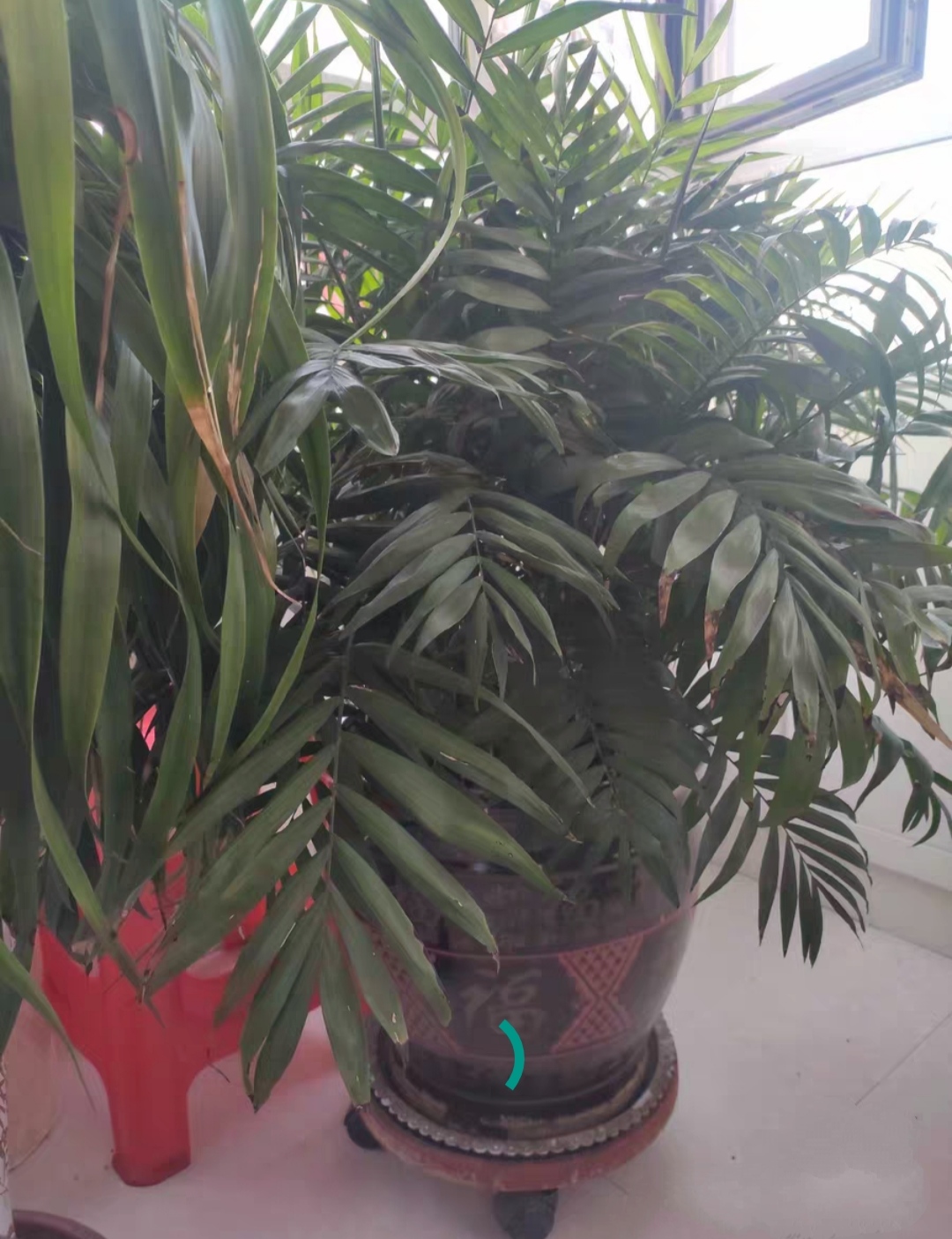 ����������ͻ���