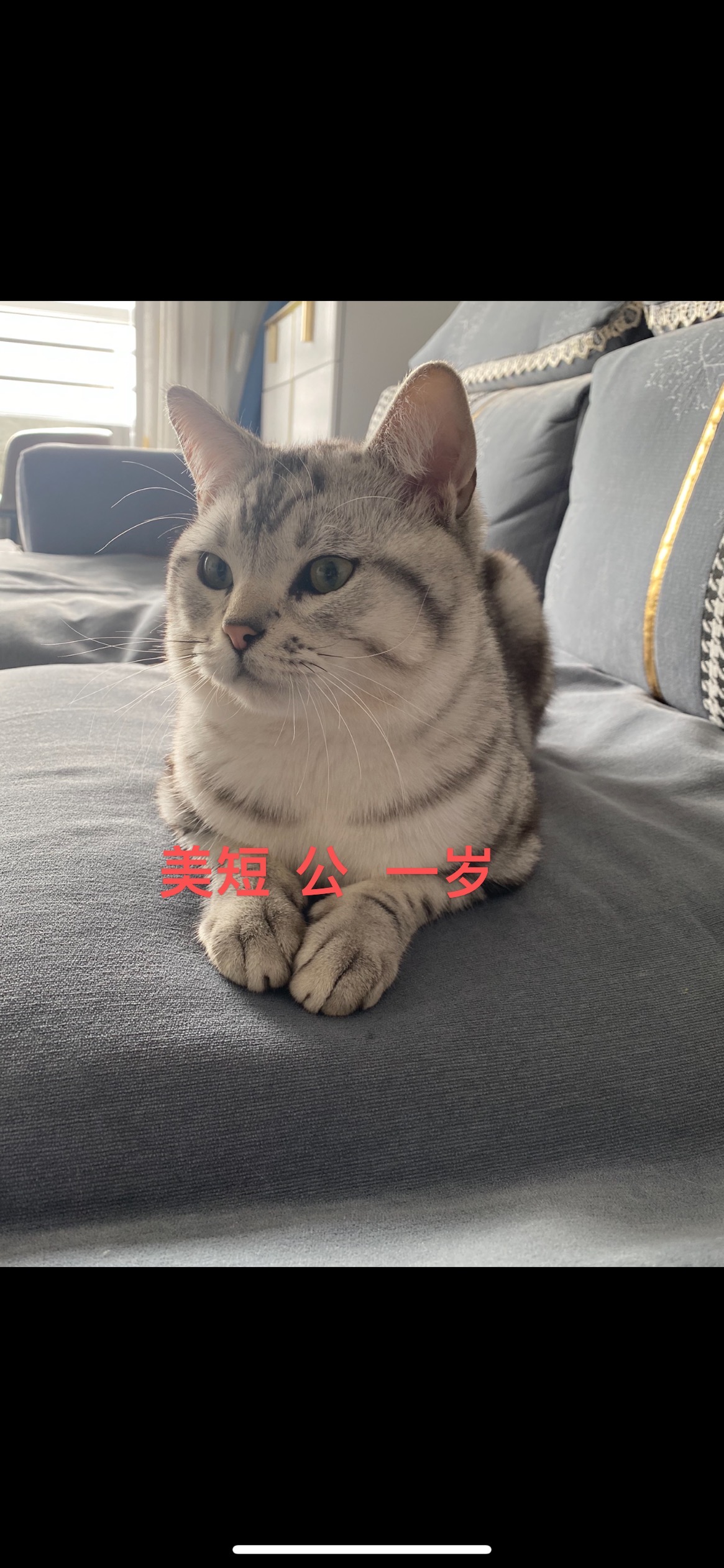 ���̣��ͼ۳�