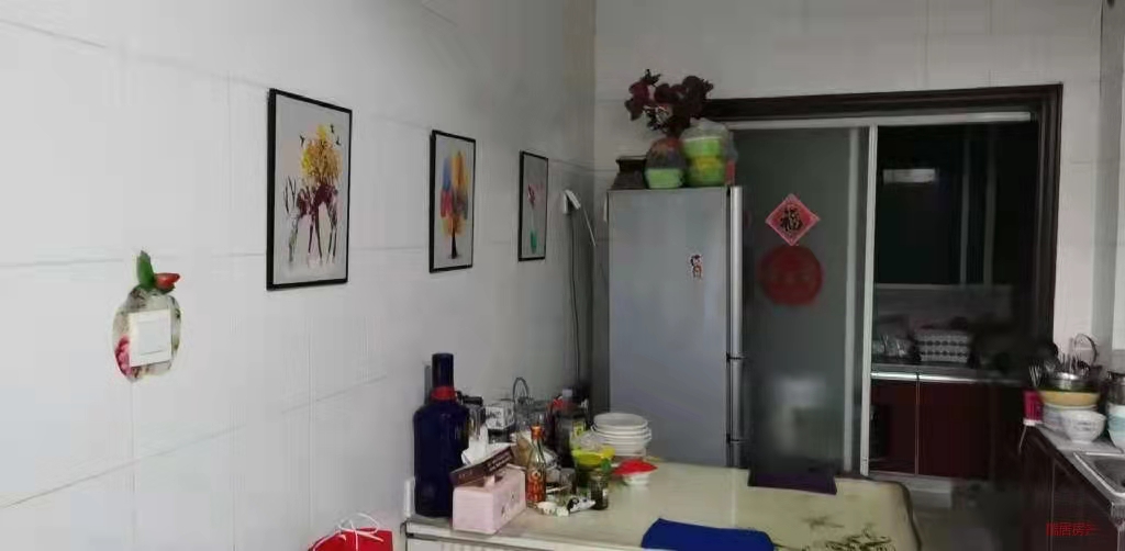 �䰲ѧ����