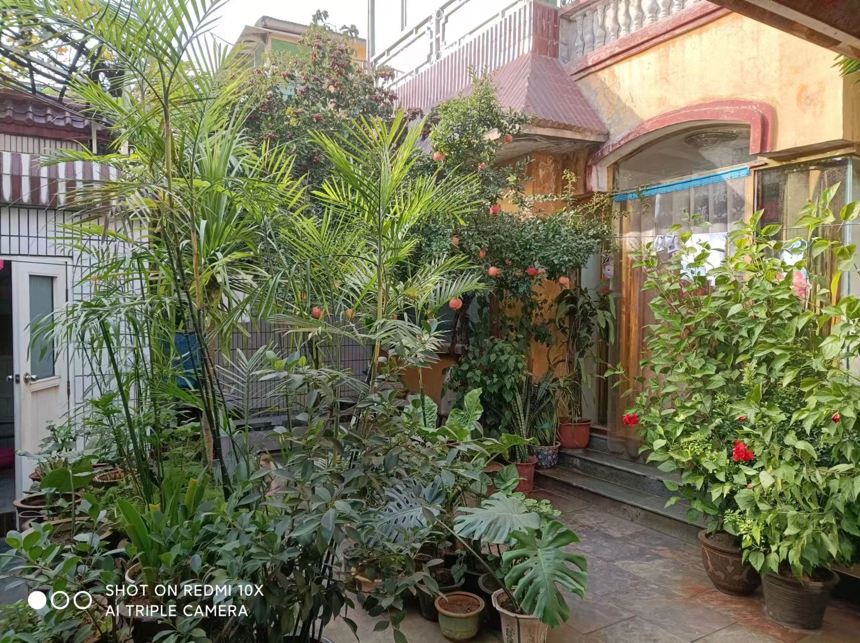 �䰲���ڳ����ֶ����������