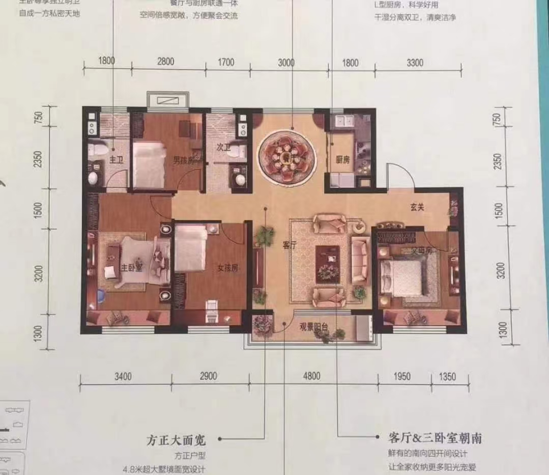 �̹�԰����