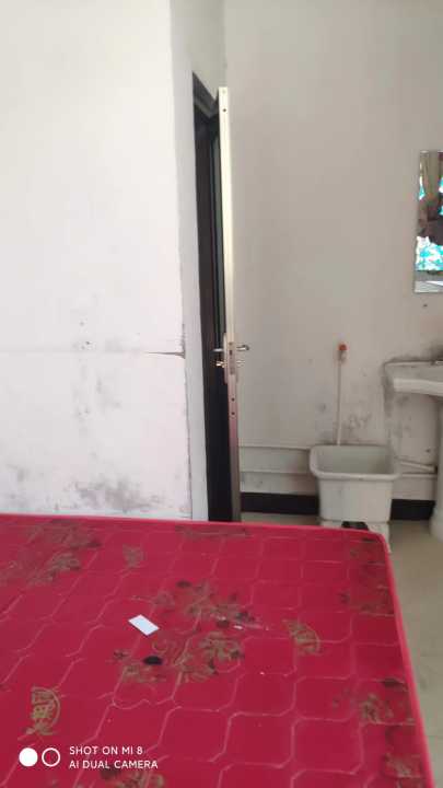 �����ָ����������