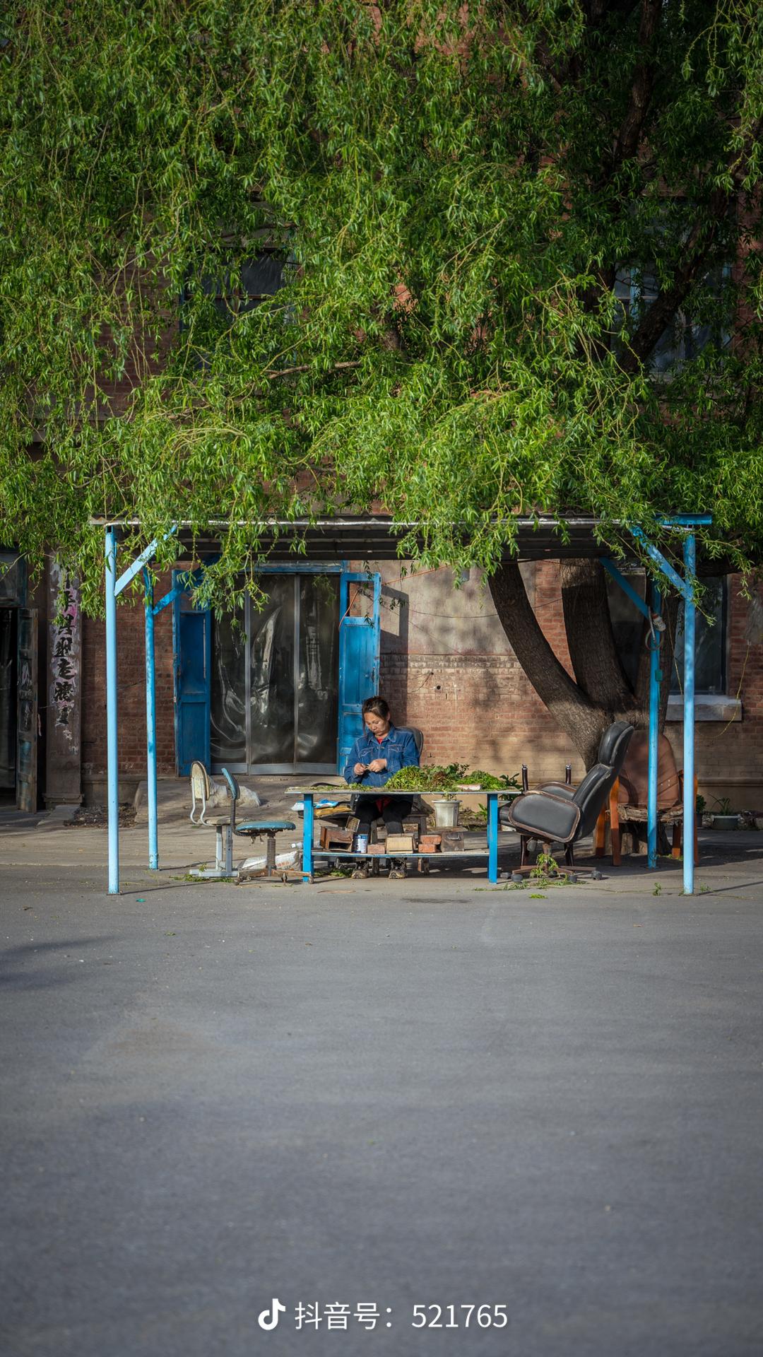 �䰲ʵ����ѧ�Ϲظ���������1��1��