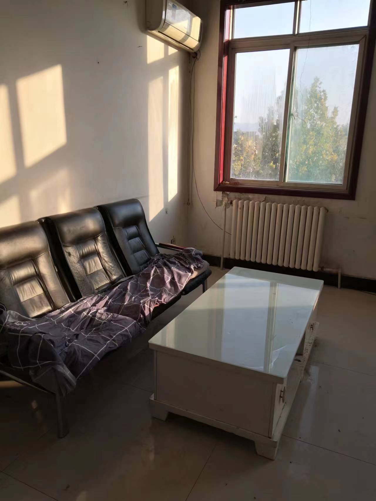 20267���������Ӹ���