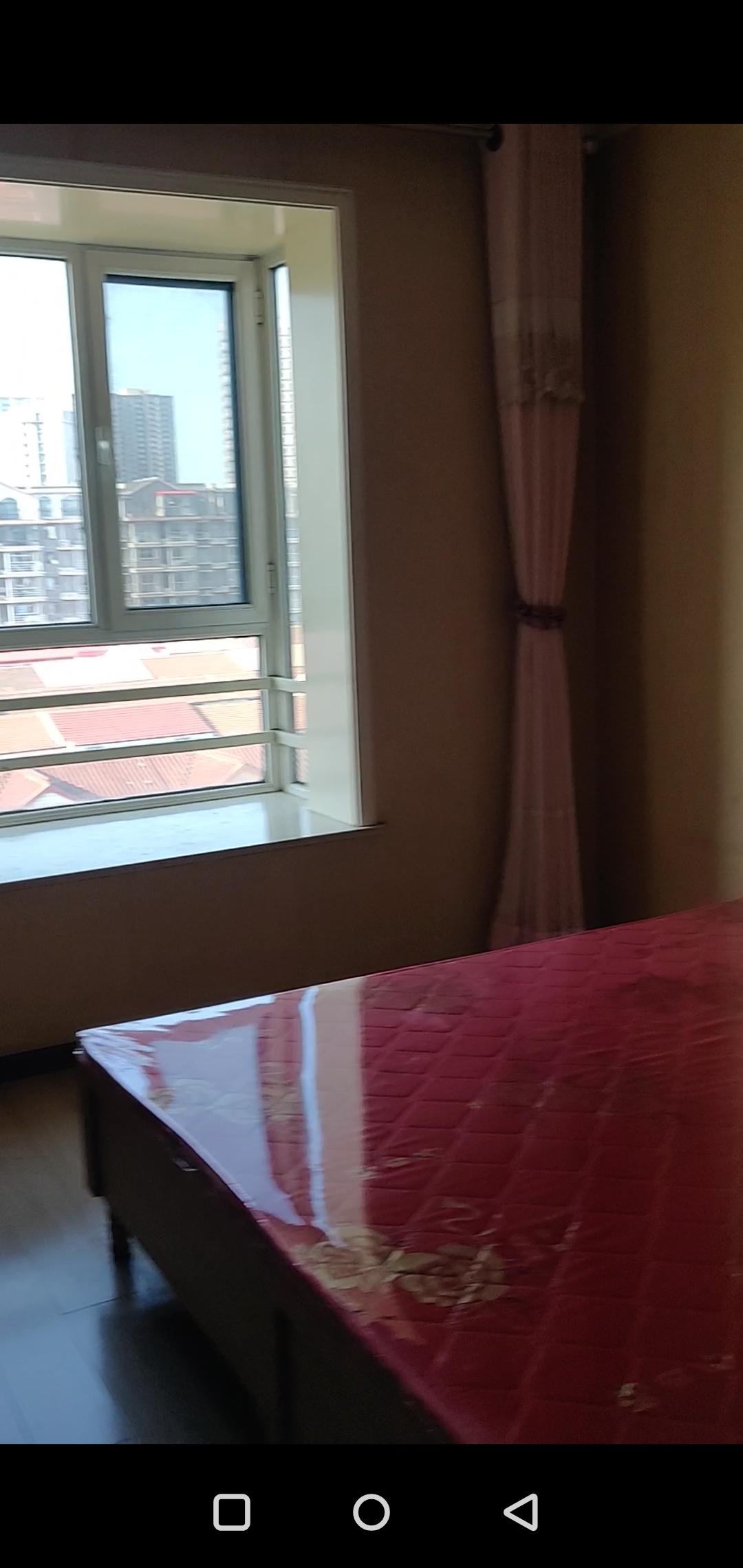 ��԰������������һ������