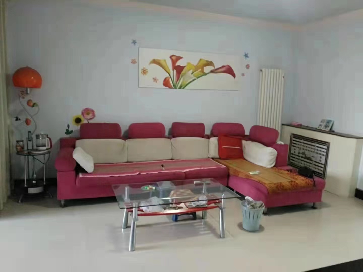 ����Сѧ����