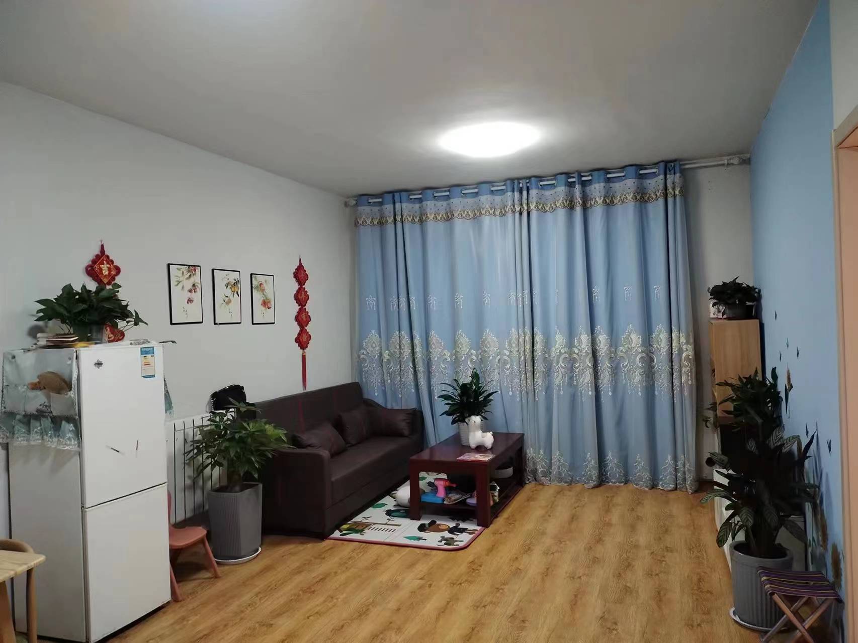 �����䰲���Ϲ⻨԰�����·�һ�ף�������⣬����λ�ú�