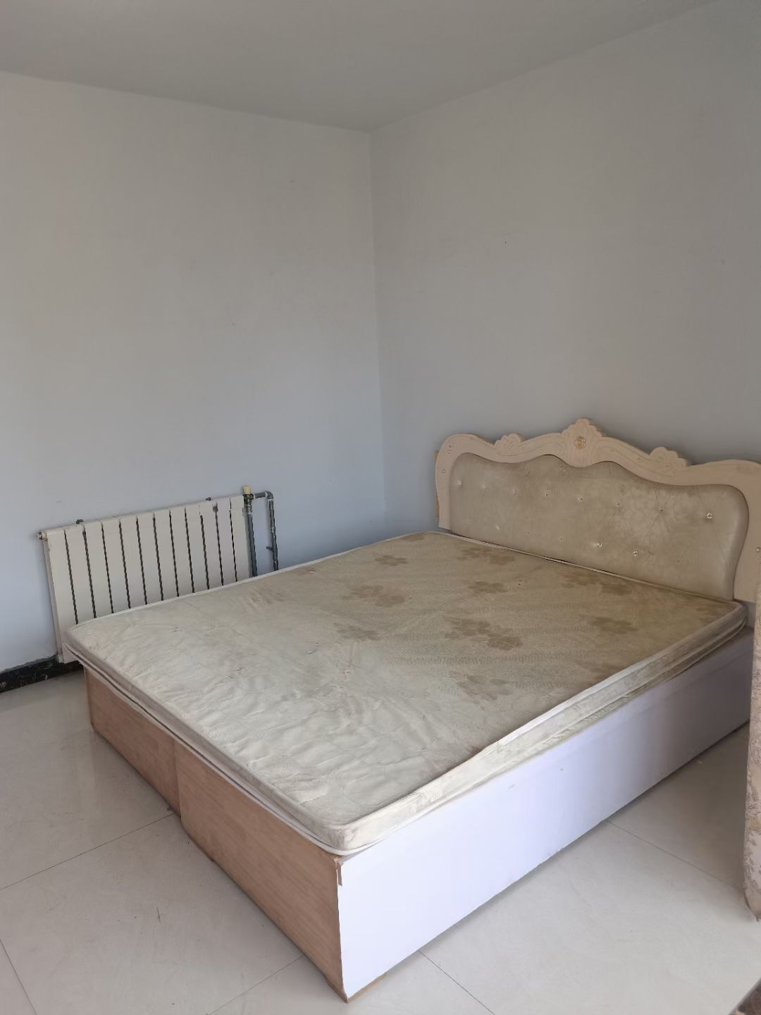 �Ϲ⻨԰���Ҷ���