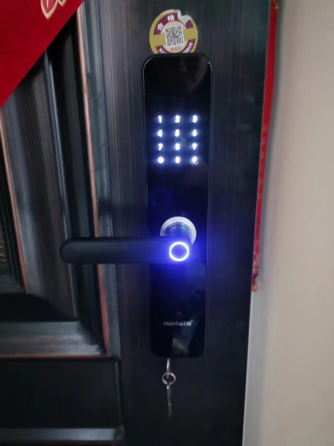 �䰲����5555003