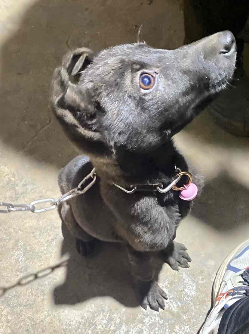 ����Ȯ����