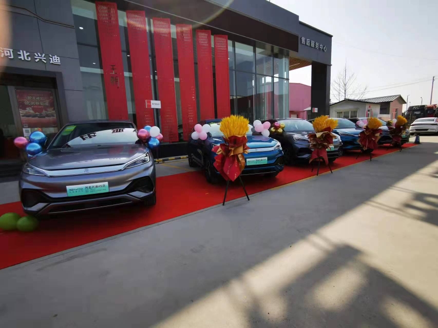 ���ǵϸ�����Ƹ