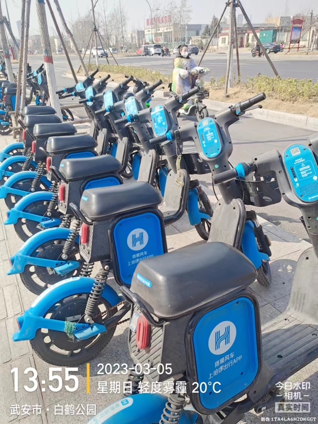 �䰲�й���������Ƹ��ְά�޹�������