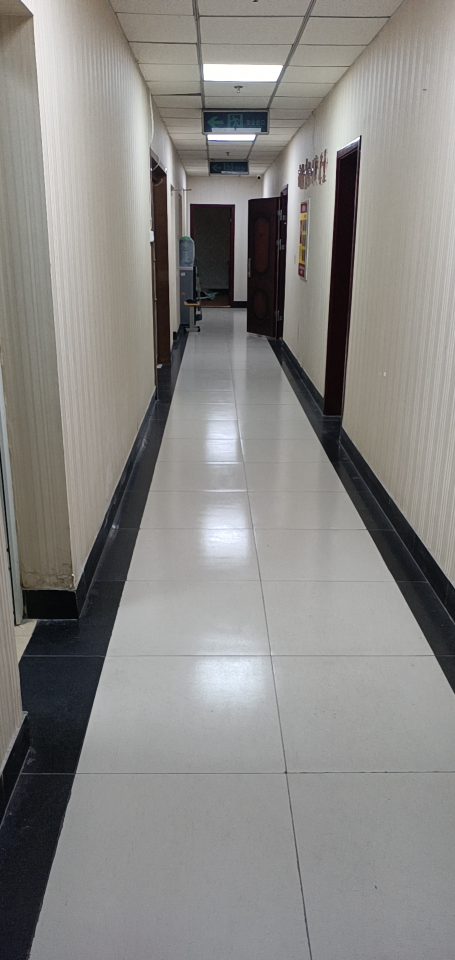 ��ѵ����������Ƹ��ʦ