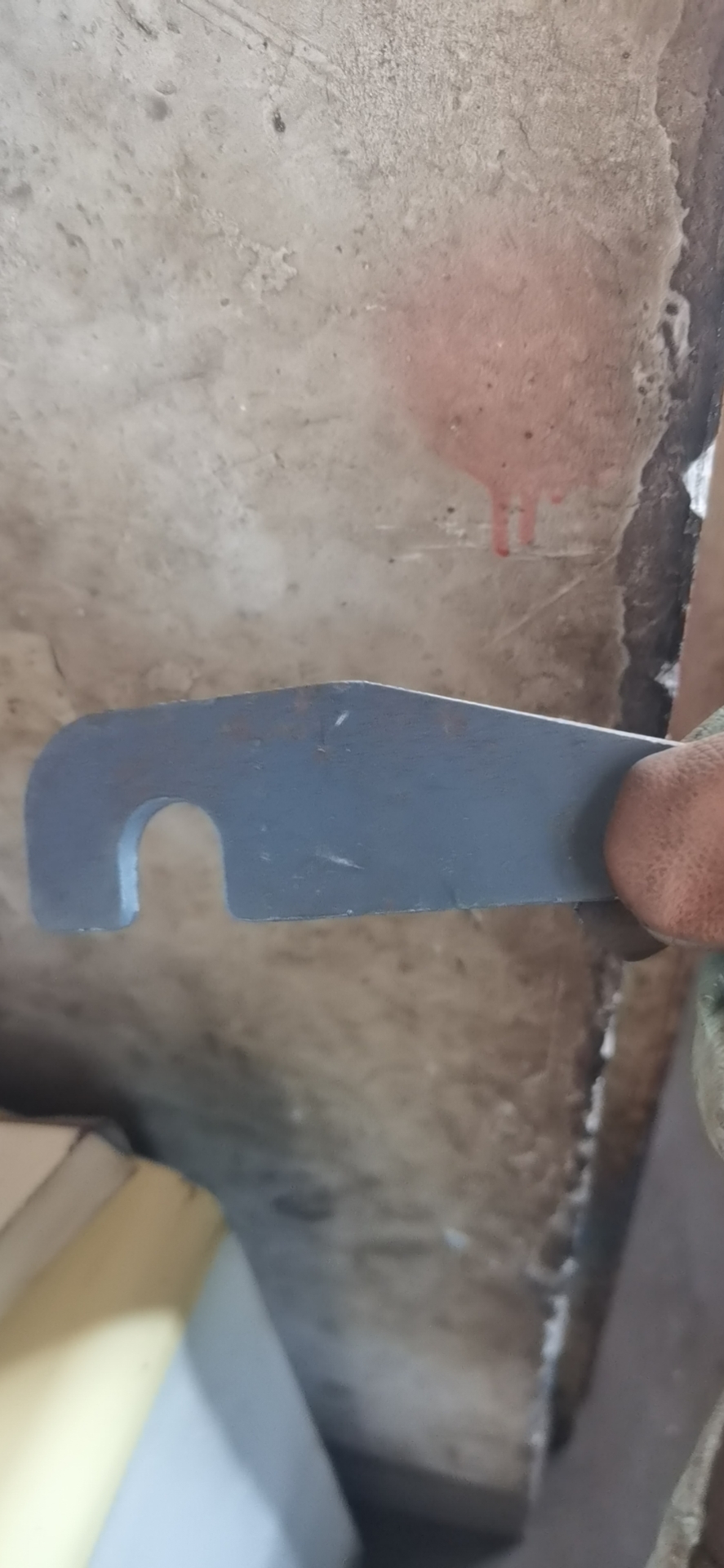 ��Ƹ����������5��