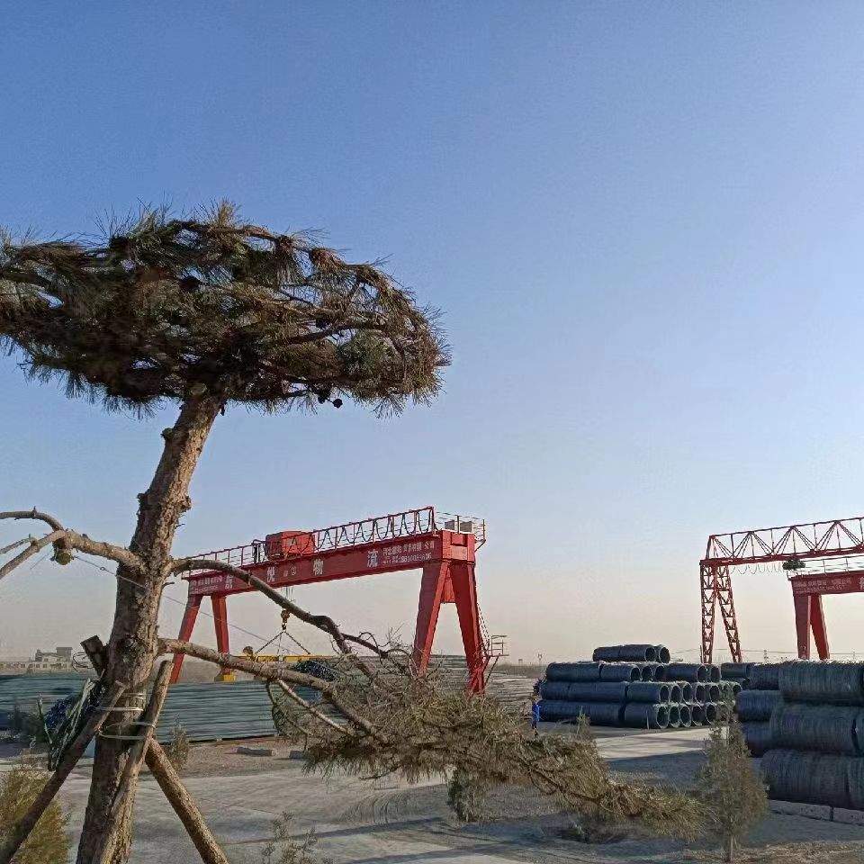 ������Ƹ�쳵��