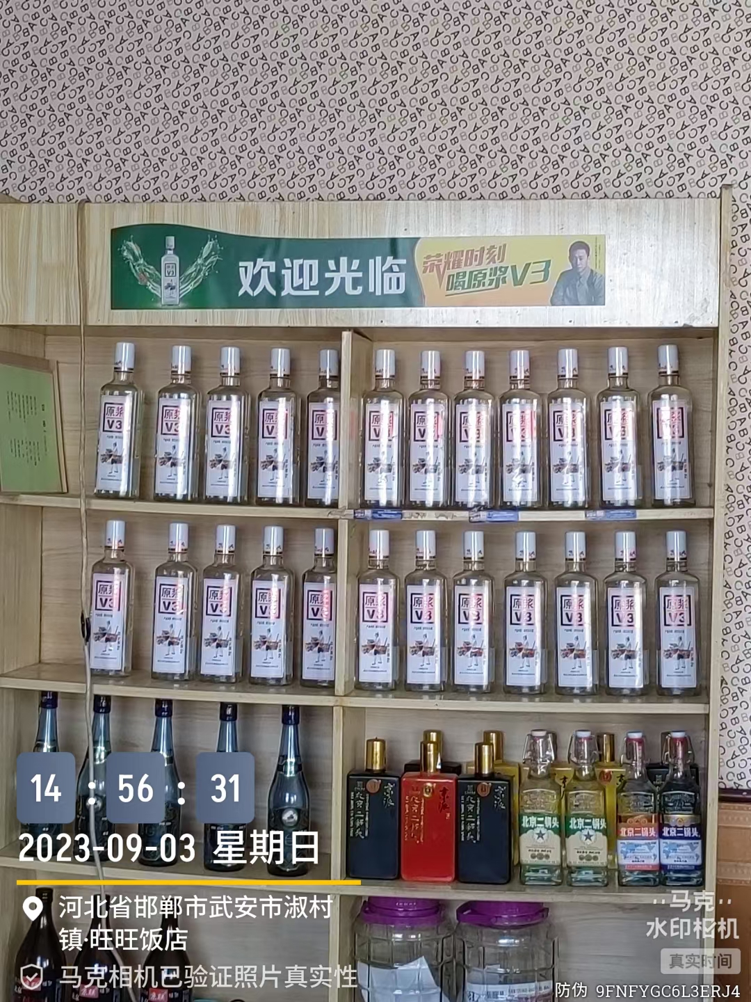 ������԰ԭ��V3 ��Ƹ