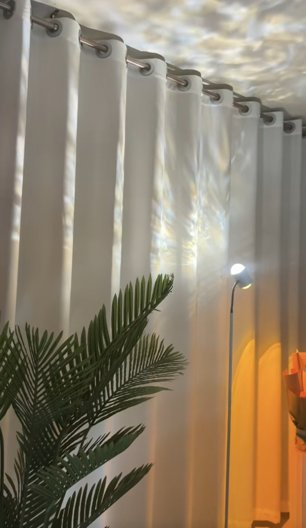 ��Ƹ����