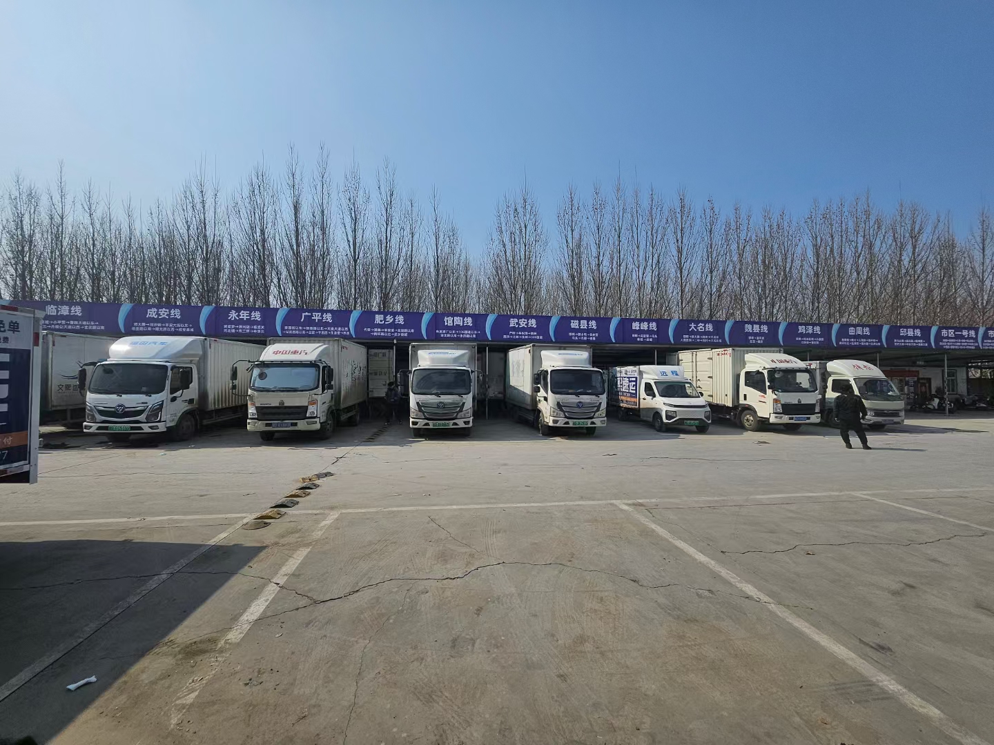 ��Ƹ����Ƹ������Ա