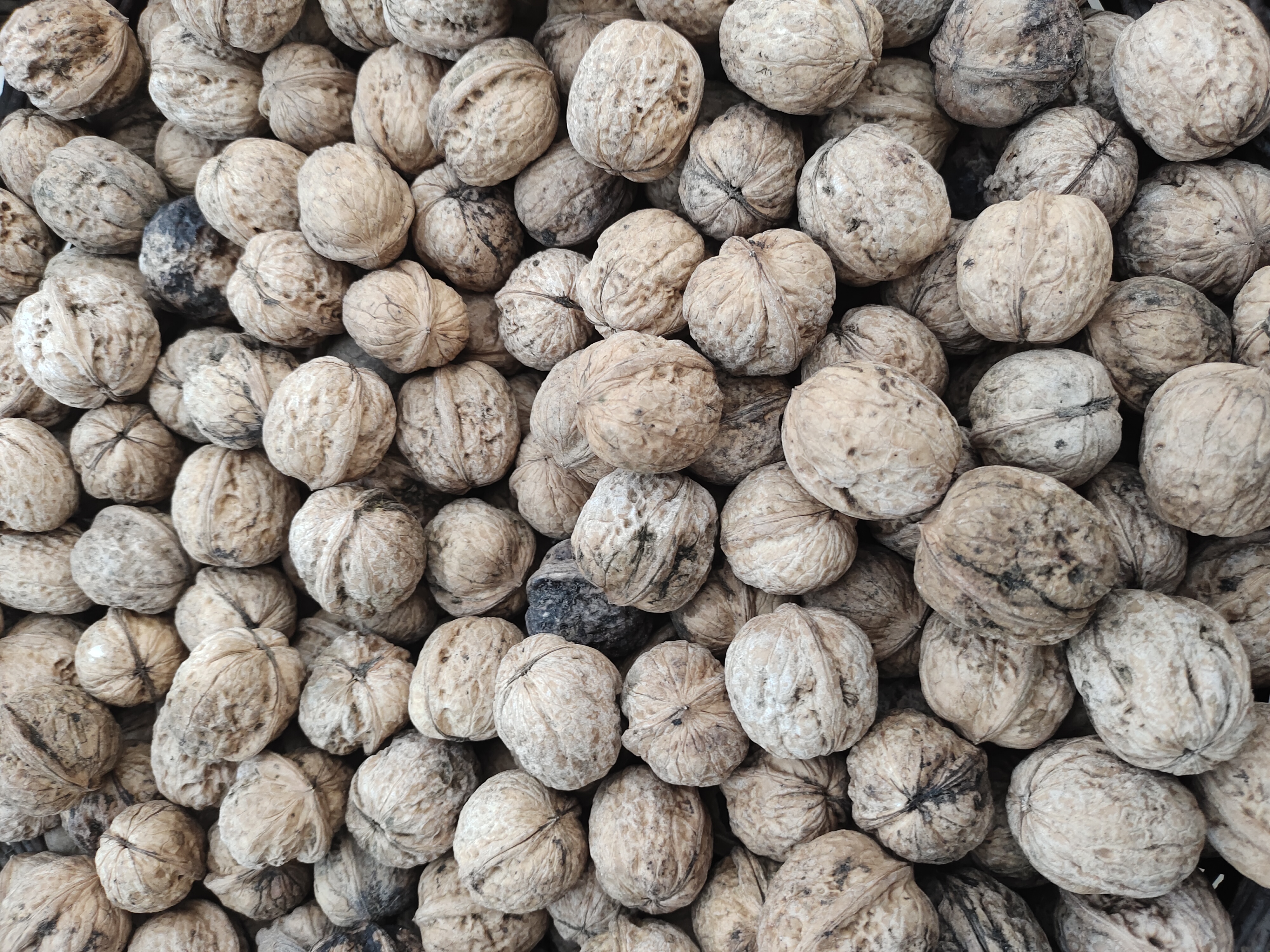 �������ۺ���  ������