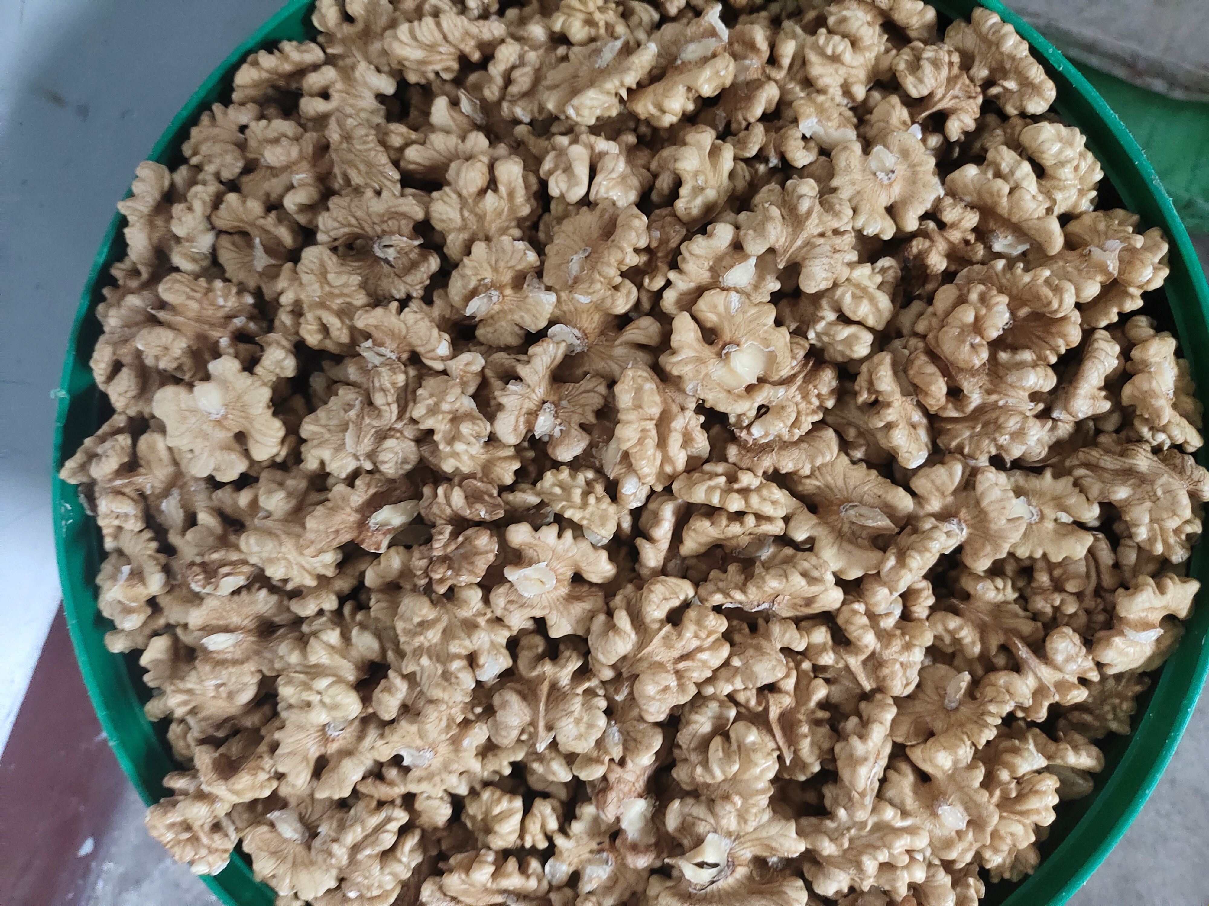 ���� ������