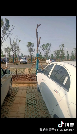 �����ļ�������