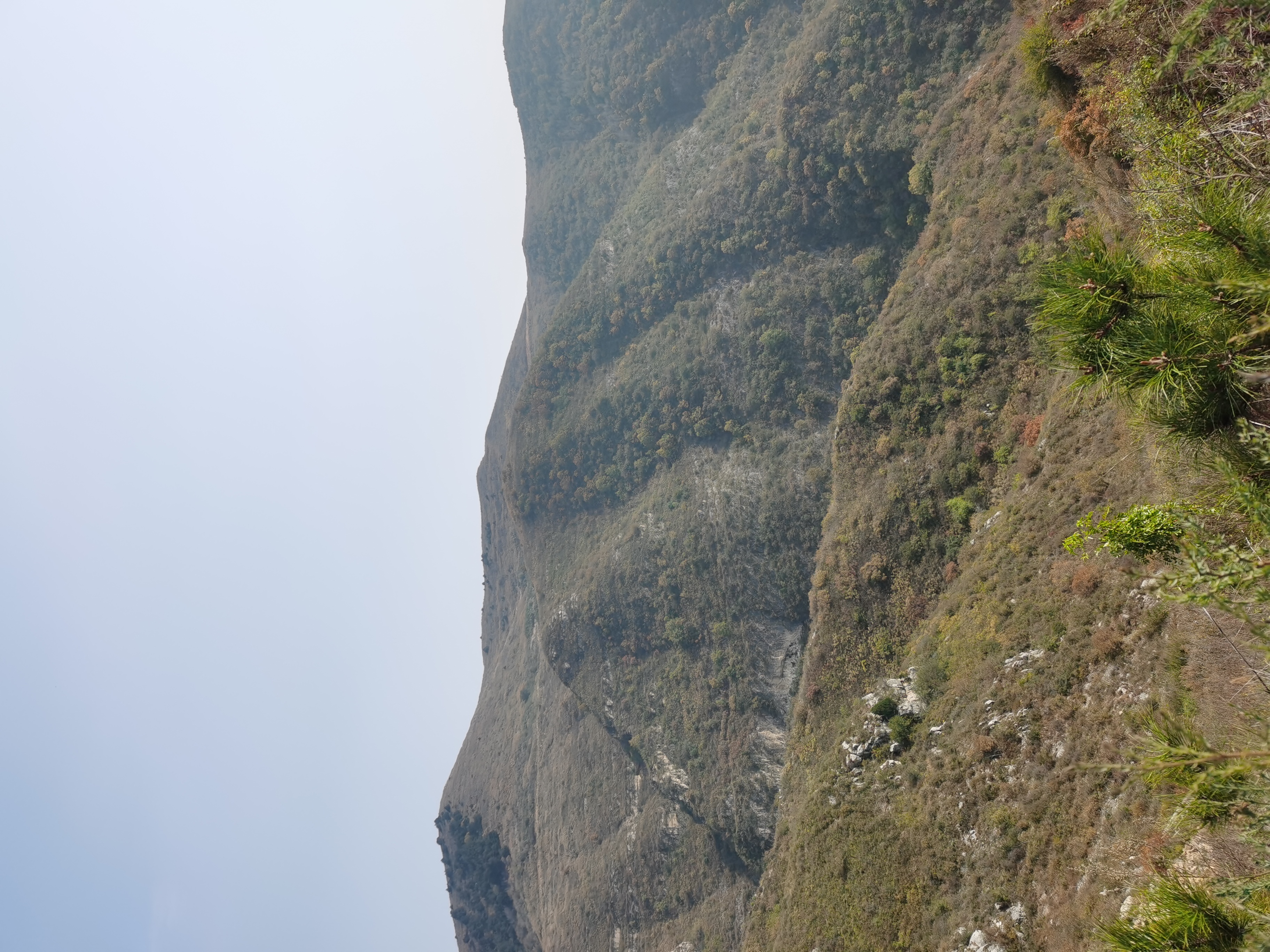 �������ͷ��ʽ����