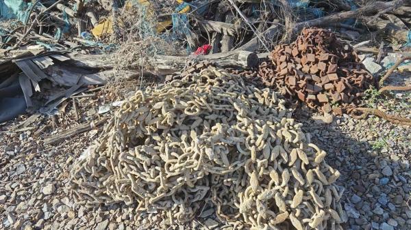 ��������������