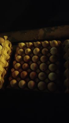 �����ؼ���΢�ƿǼ��������ڳ���