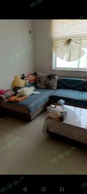 ����С�Ÿ���