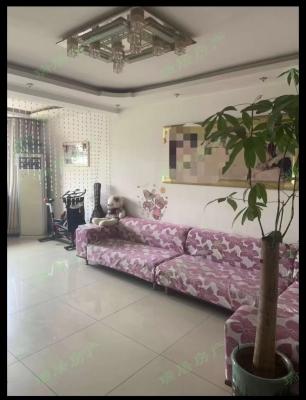 ���ݳ���