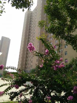 ���ݳ���