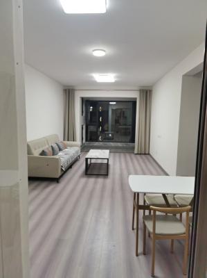 ���ݳ��۳����ڷɳ�