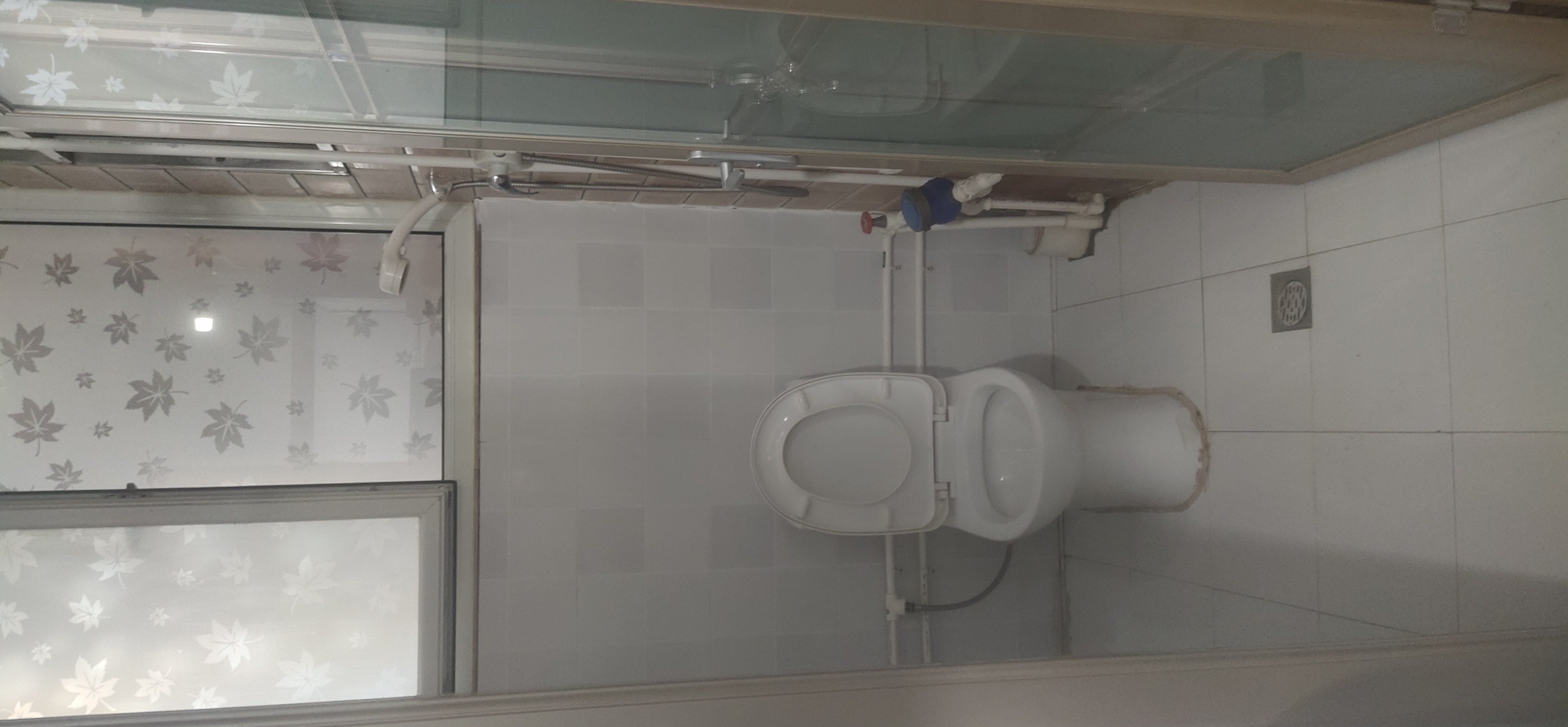 ��һ��һ��һ������