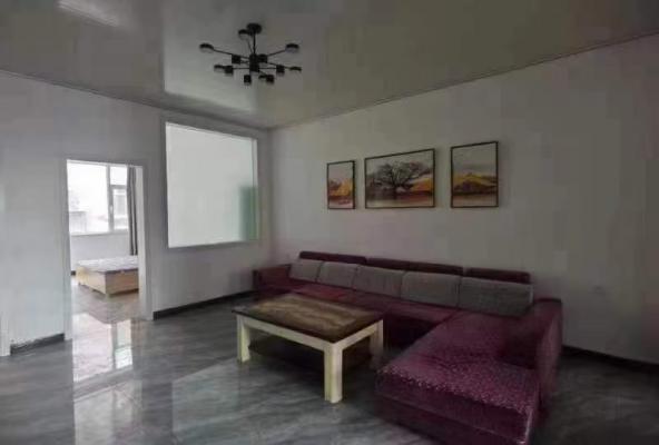 ���������������Сѧ���ϰ�̩��������19930881059