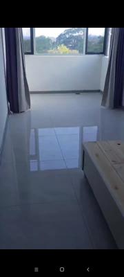 ���������͸�������һ���·�11000 19930881059