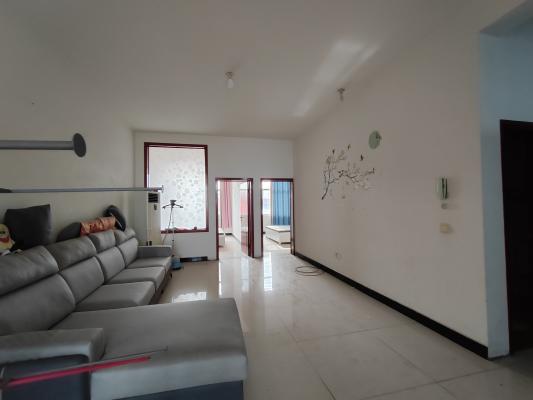 ��ǿСѧ�������ݳ���