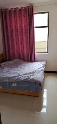 ������ԷСѧ������Ԫ¥1��1��1��1������