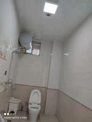 �Ϲ�Сѧ�������ݳ��⣨�н����ţ�