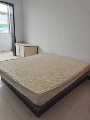 ��ǿСѧ�������Ҷ�������