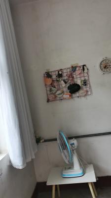 ����������ѧУ��������