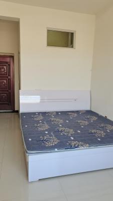 ���⽨����һ��һ���ɾ�����650