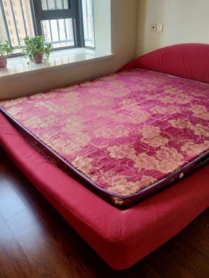 FD12������������С�����Ҷ�������һ�� 