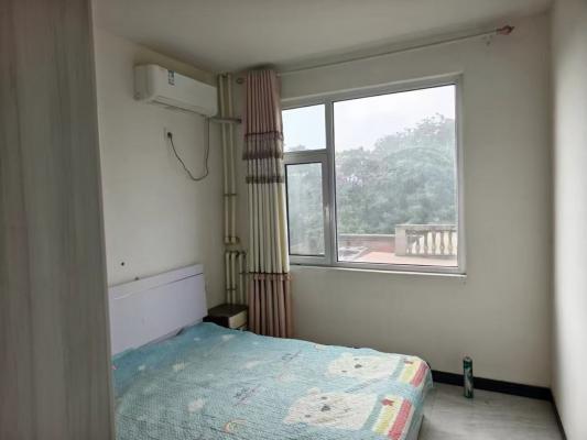 17262�䰲��������ѧУ��������һ��һ��һ��