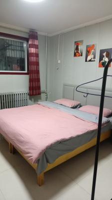 �����͸���һ��һ��һ��