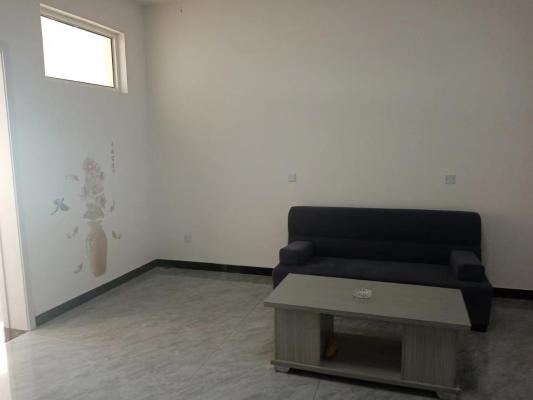 T19995�������ʷ�Դ�׺׸�������һ��һ��һ��