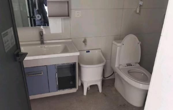 11567����������������Ҷ�������һ