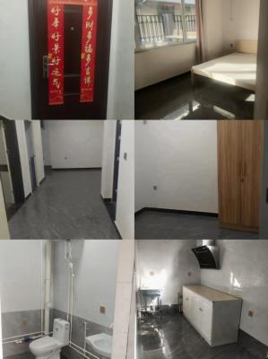 ���⣺��ǿ·�������и���������ʵ�顢ʮ��...