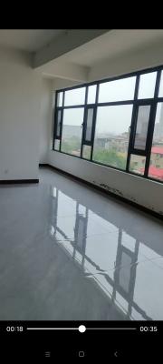 ����Сѧ����11000˫����ͣ��������������һ�����ͣ��